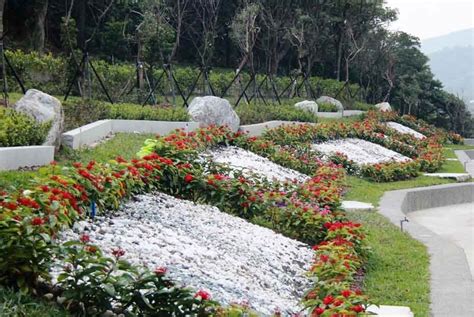 花蓮樹葬|樹葬、花葬、海葬，可能免規費還有獎勵金！環保葬形。